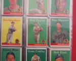 1958-topps-baseball-cards28