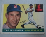 ted-williams