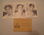 ted-williams-red-sox-photos1