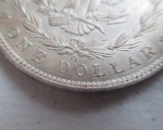 silver-dollars3