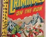 crime-detective-gang-golden-age-comic-books4