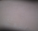 martha_greta_kempton4