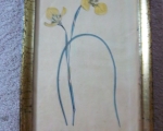 botanical-framed-plate-1