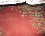 oriental 8 x 11 rug 2