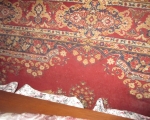 oriental 8 x 11 rug 3