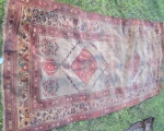 oriental_rugs10