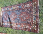 oriental_rugs11