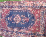 oriental_rugs6