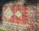 oriental_rugs9