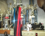 shooting other trophies