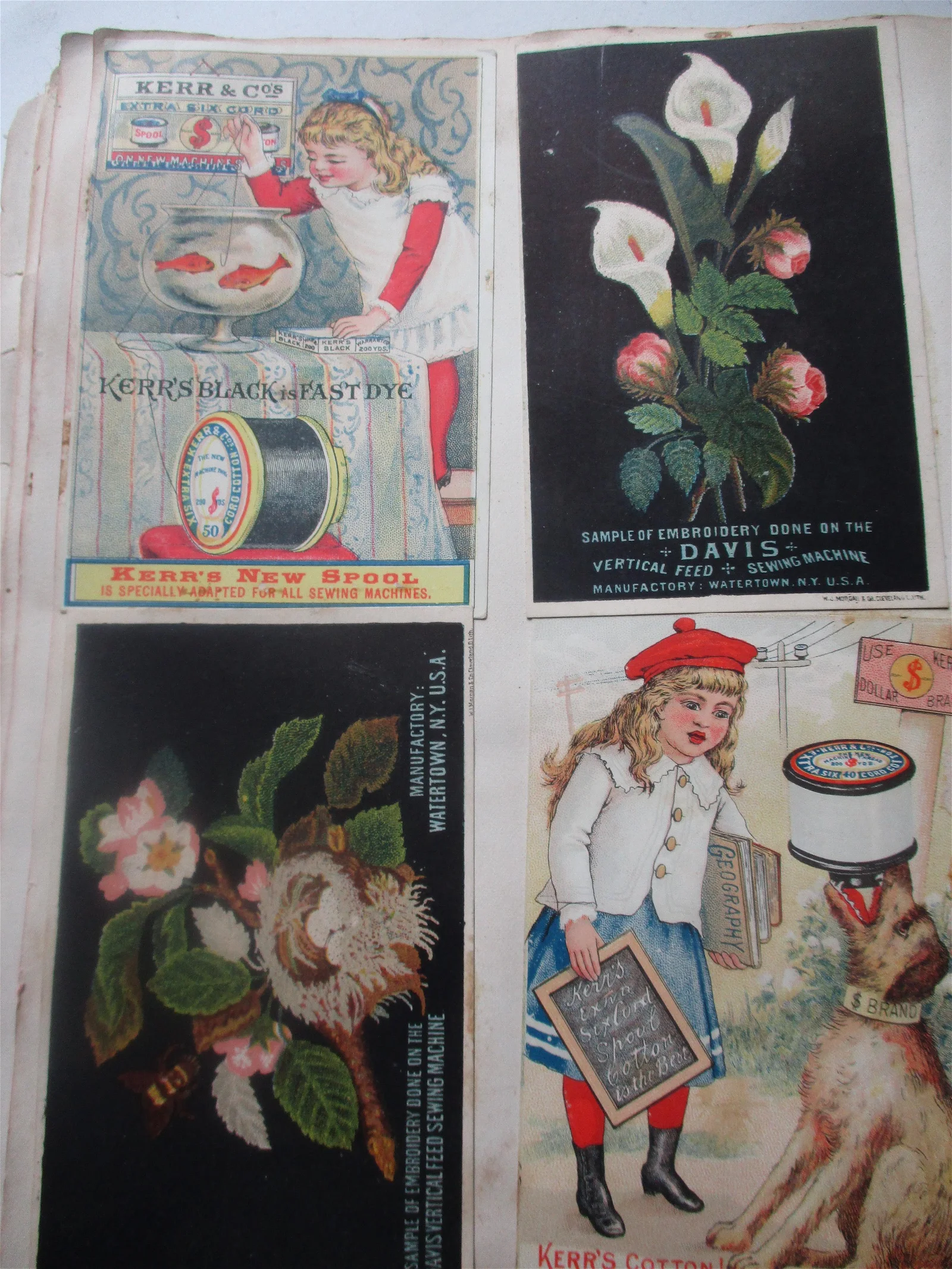 Trade Card Album Alvin Joslin Comedy, Dogs, & Other - sold at auction for $100